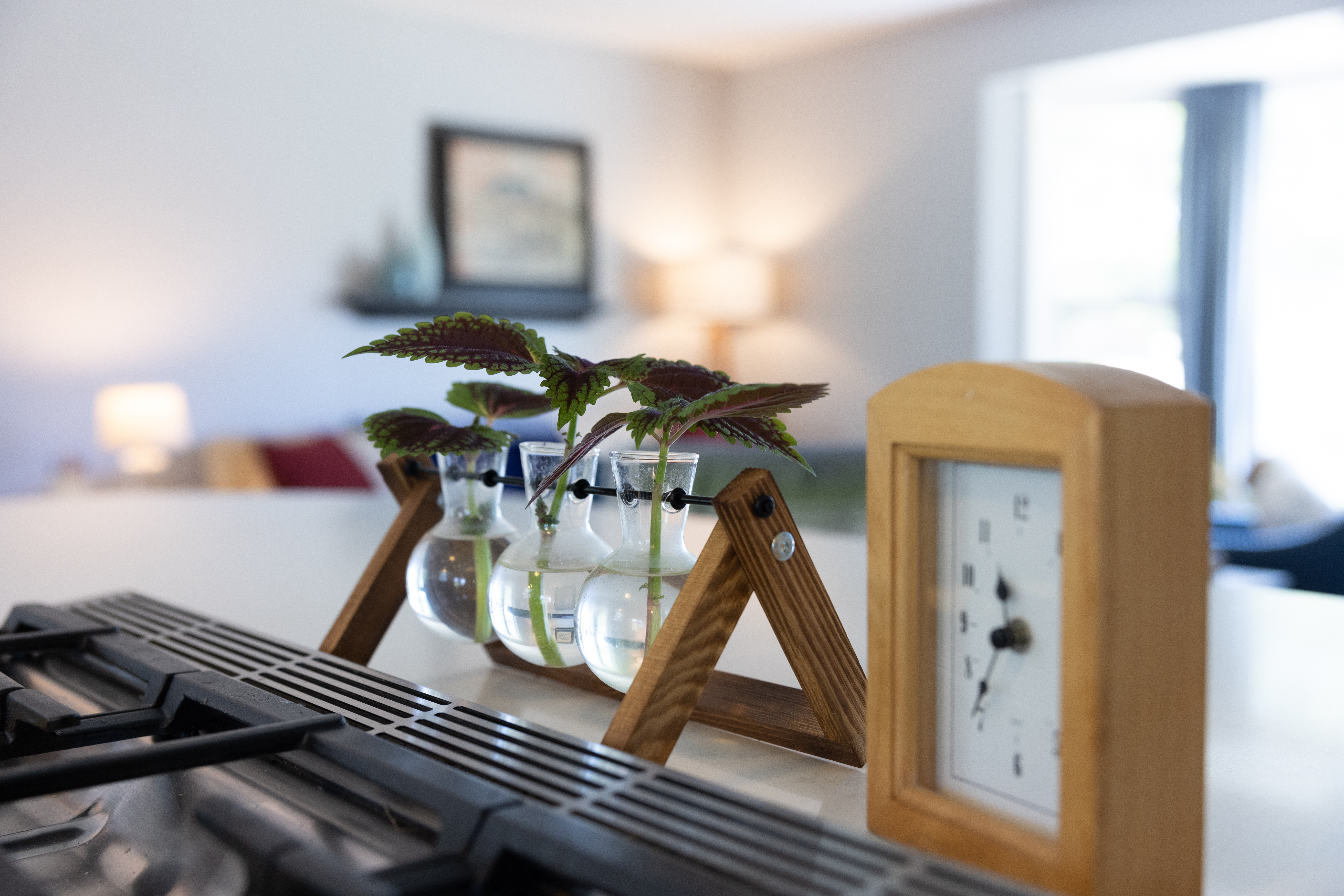 A clean home awaits